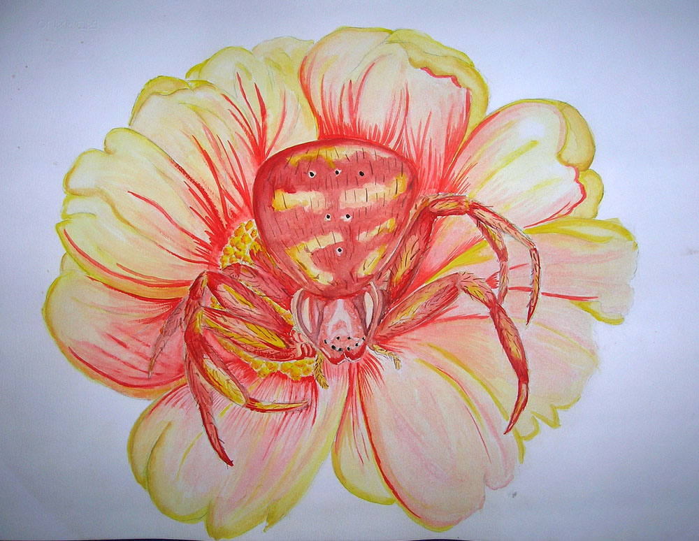 Mi � venuta la dipingite!