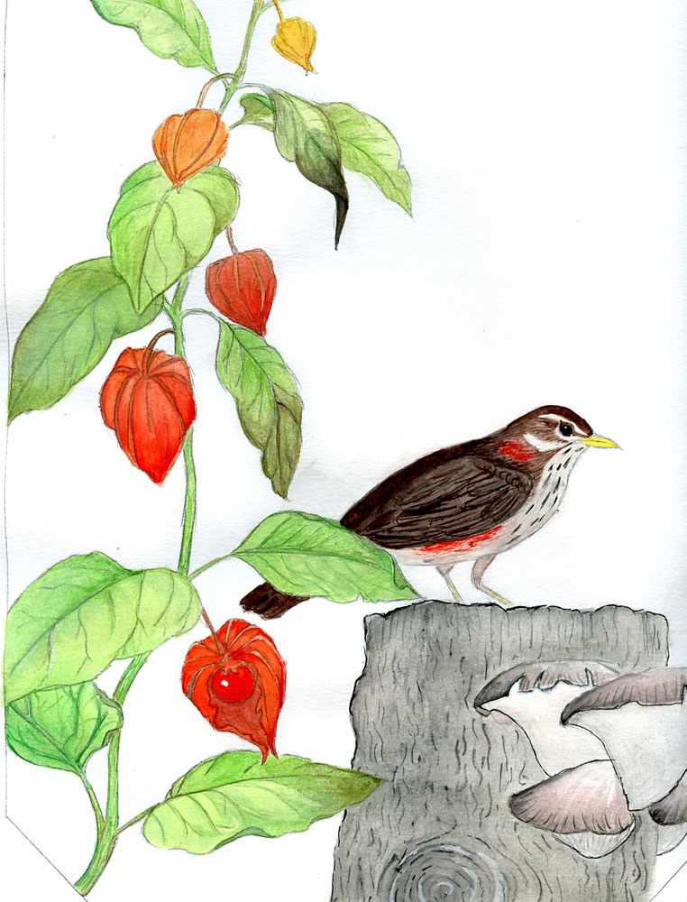 Mi � venuta la dipingite!