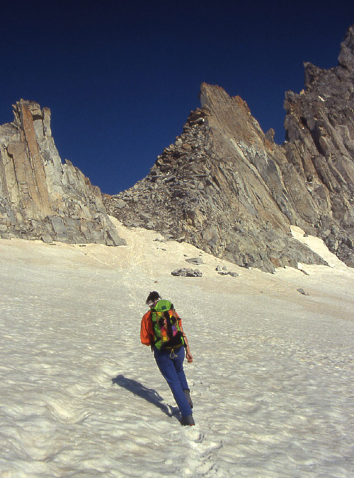 la pi alta vetta del Trentino.....Cima Presanella 3558 m.