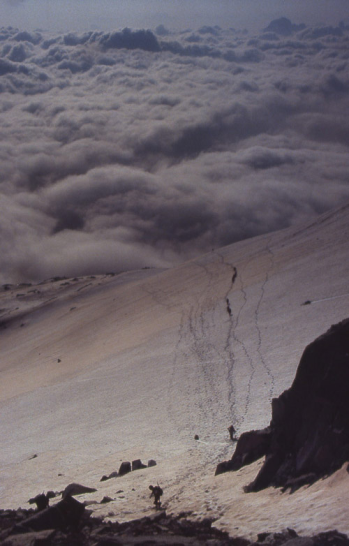 la pi alta vetta del Trentino.....Cima Presanella 3558 m.