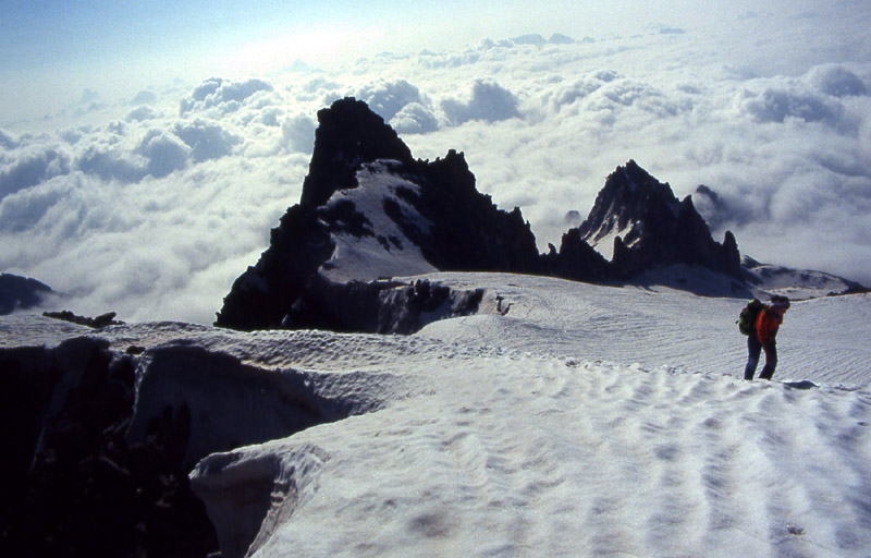la pi alta vetta del Trentino.....Cima Presanella 3558 m.
