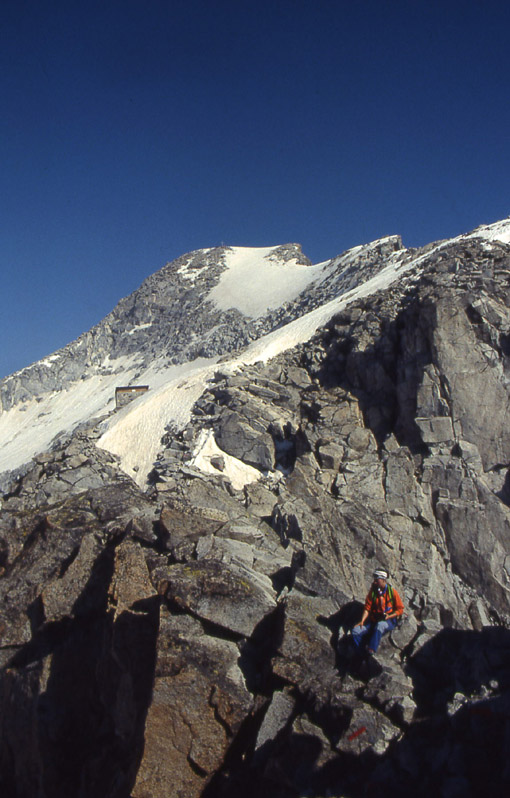 la pi alta vetta del Trentino.....Cima Presanella 3558 m.