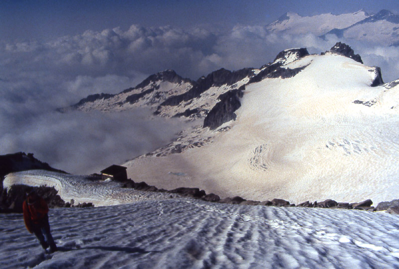 la pi alta vetta del Trentino.....Cima Presanella 3558 m.