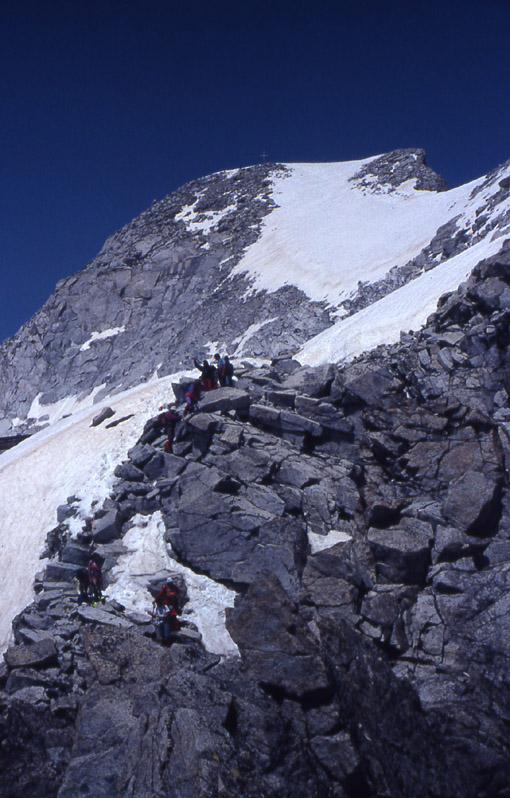 la pi alta vetta del Trentino.....Cima Presanella 3558 m.