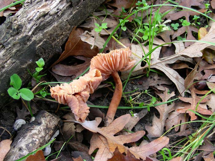 altri ritrovamenti del 16.12.06