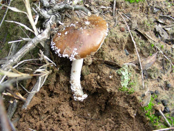 altri ritrovamenti del 22.12.06