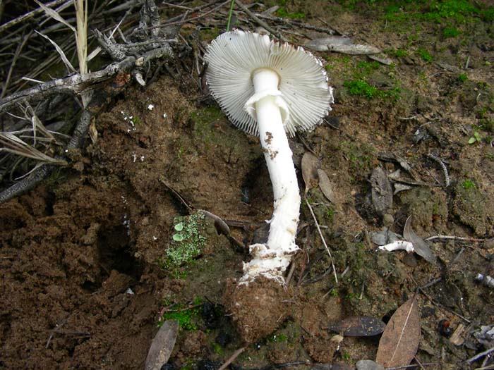 altri ritrovamenti del 22.12.06