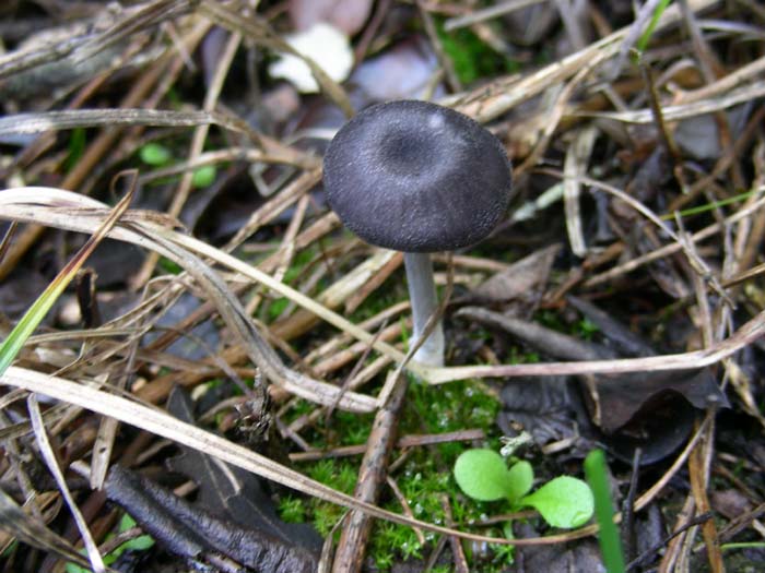 altri ritrovamenti del 22.12.06