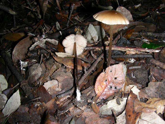 altri ritrovamenti del 22.12.06