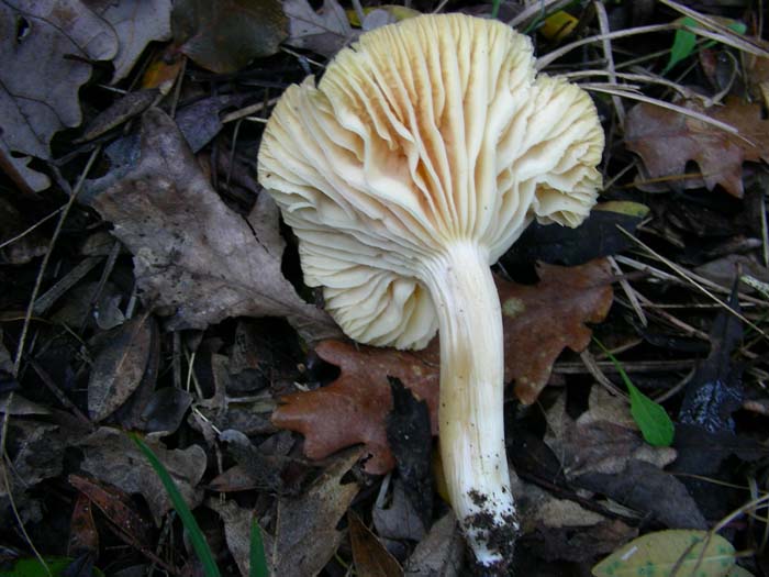 alcuni ritrovamenti del 02.02.07