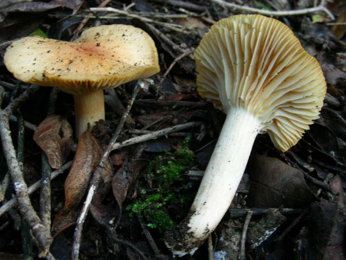 alcuni ritrovamenti del 02.02.07