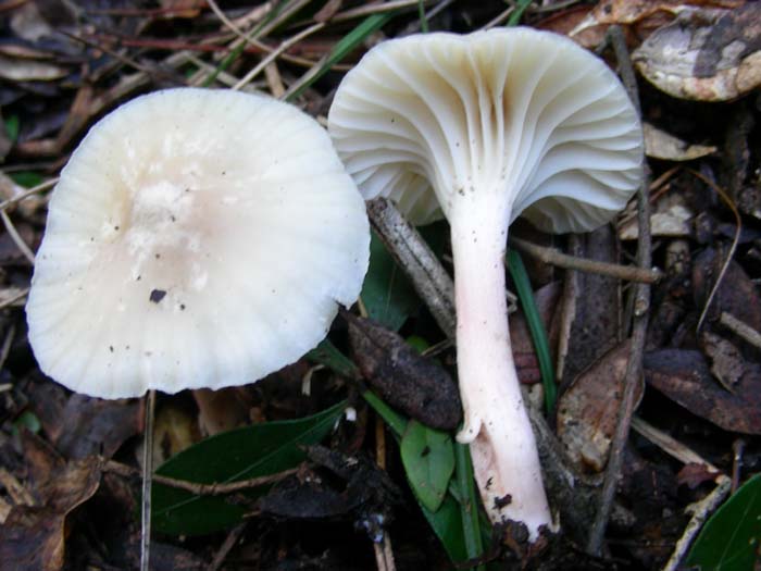 alcuni ritrovamenti del 02.02.07