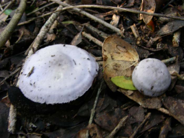 alcuni ritrovamenti del 02.02.07