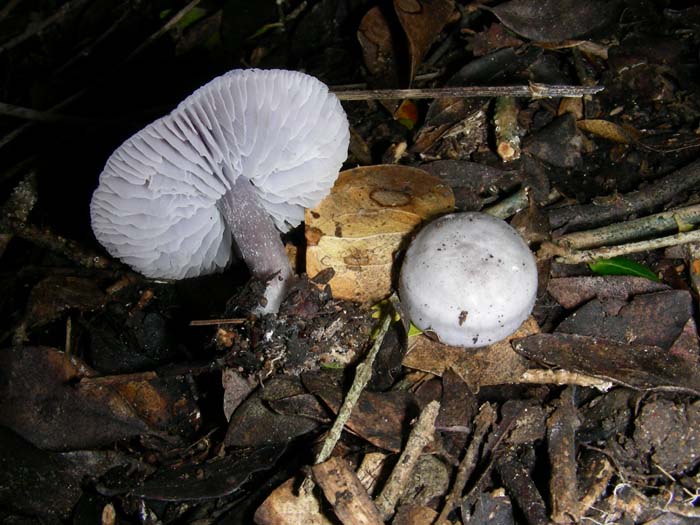 alcuni ritrovamenti del 02.02.07