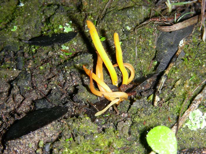 alcuni ritrovamenti del 02.02.07