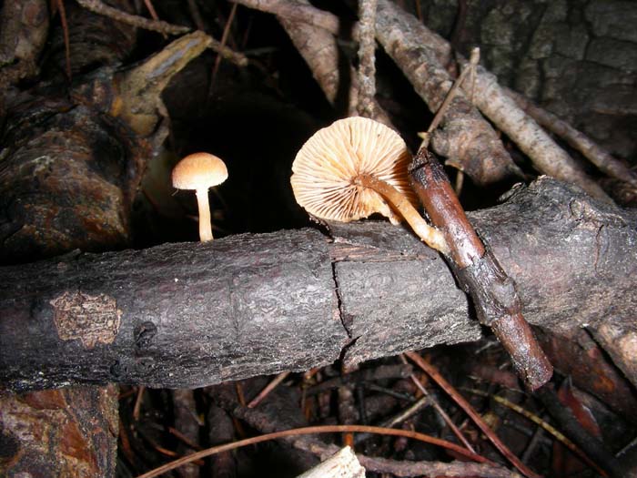 alcuni ritrovamenti del 08.01.08