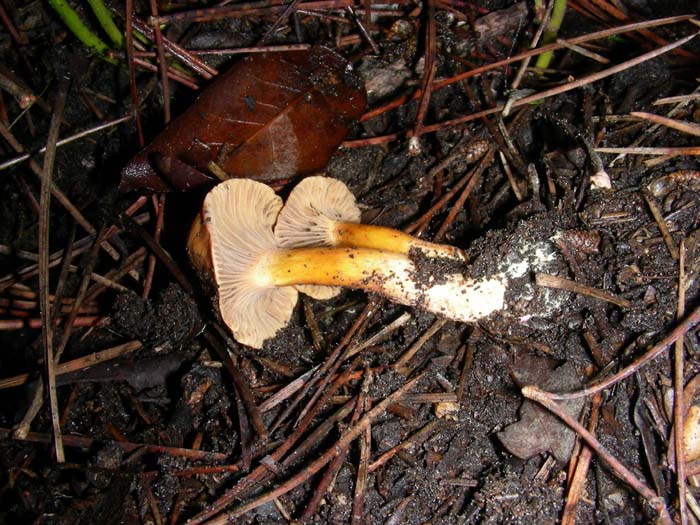 alcuni ritrovamenti del 08.01.08