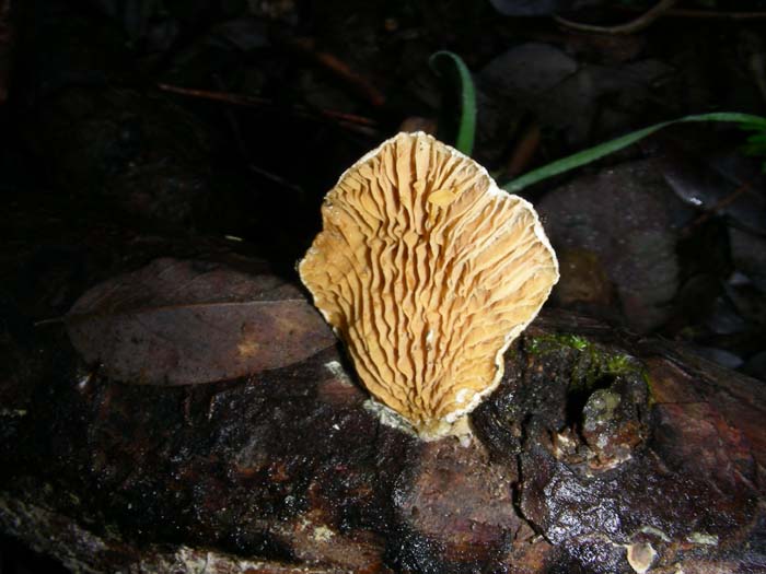 alcuni ritrovamenti del 08.01.08