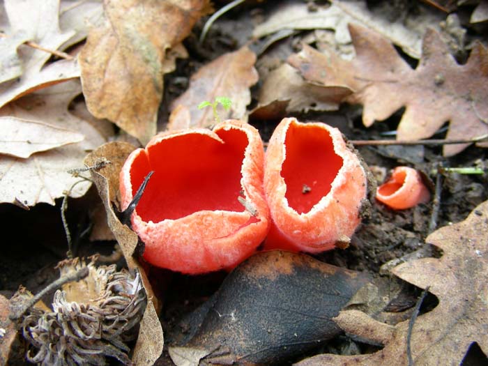 Ritrovamenti del 01.02.08