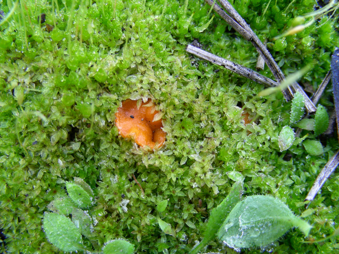 ritrovamento 15.02.08 (3)