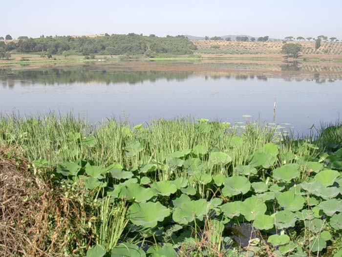 Laghi....del LAZIO