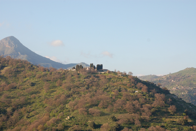 3 .Le colline di Taormina:Aphyllophorales e molto altro.