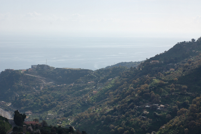 1. Le colline di Taormina: Aphyllophorales e molto altro