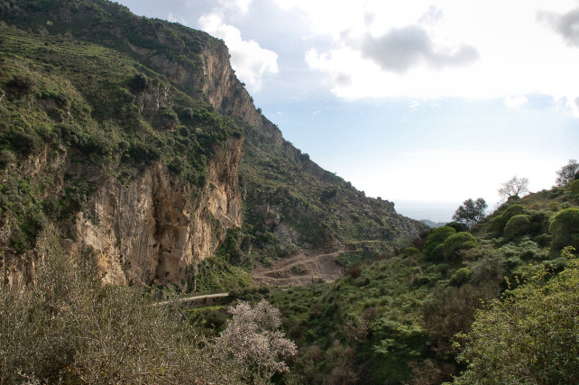 1. Le colline di Taormina: Aphyllophorales e molto altro