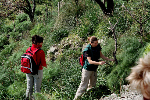 1. Le colline di Taormina: Aphyllophorales e molto altro