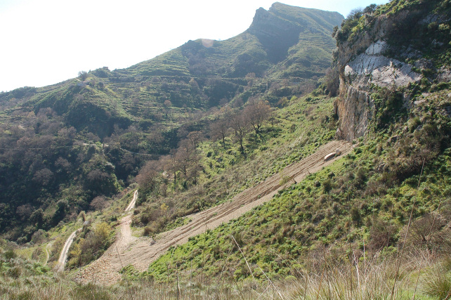 3 .Le colline di Taormina:Aphyllophorales e molto altro.