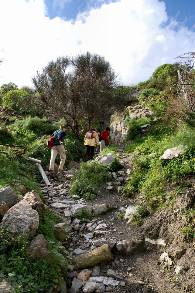 1. Le colline di Taormina: Aphyllophorales e molto altro
