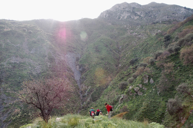 1. Le colline di Taormina: Aphyllophorales e molto altro