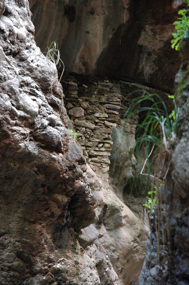 1. Le colline di Taormina: Aphyllophorales e molto altro