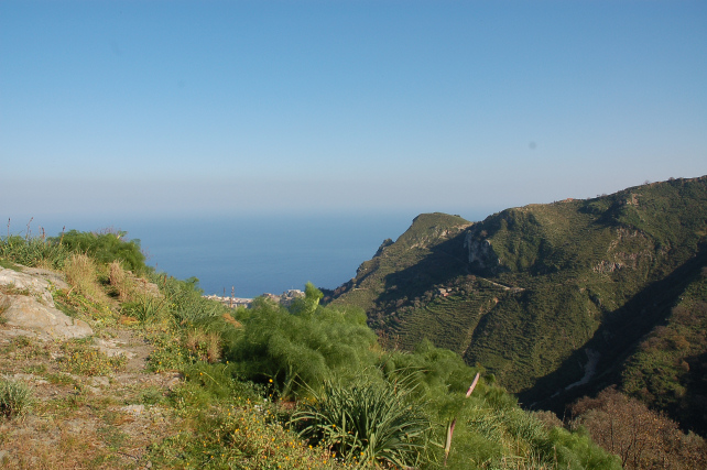 3 .Le colline di Taormina:Aphyllophorales e molto altro.