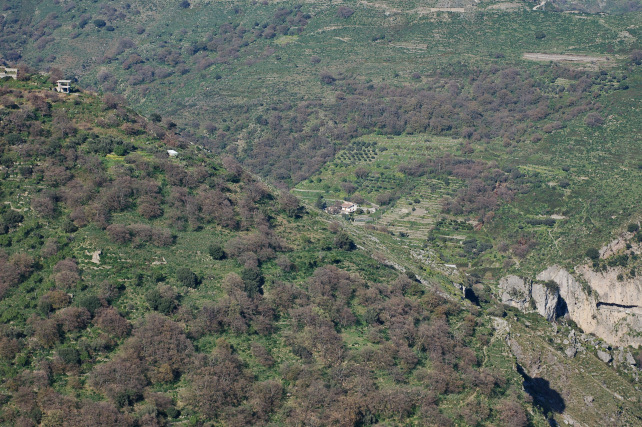 3 .Le colline di Taormina:Aphyllophorales e molto altro.