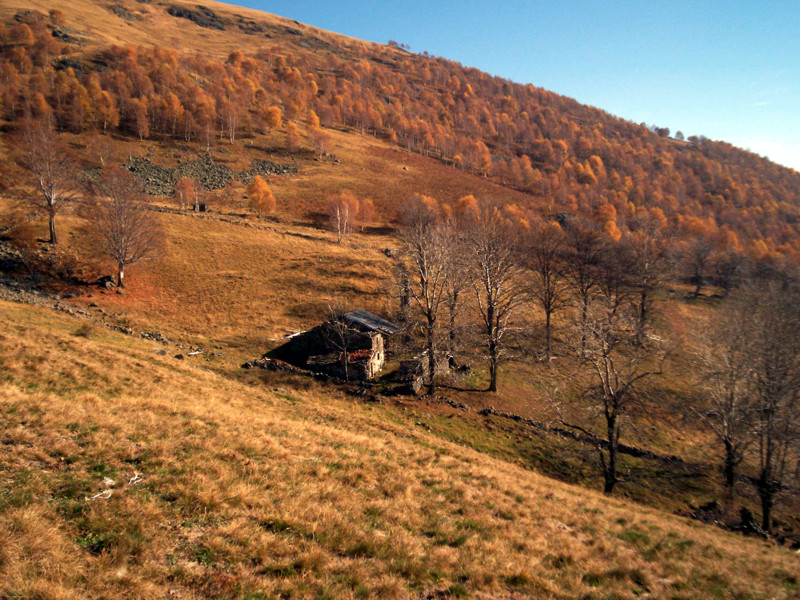 Monte Terlo