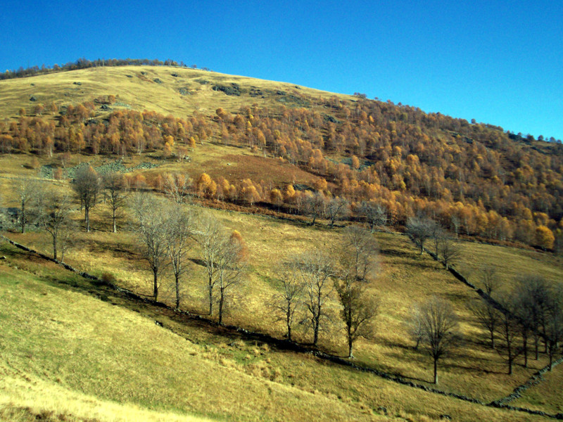 Monte Terlo