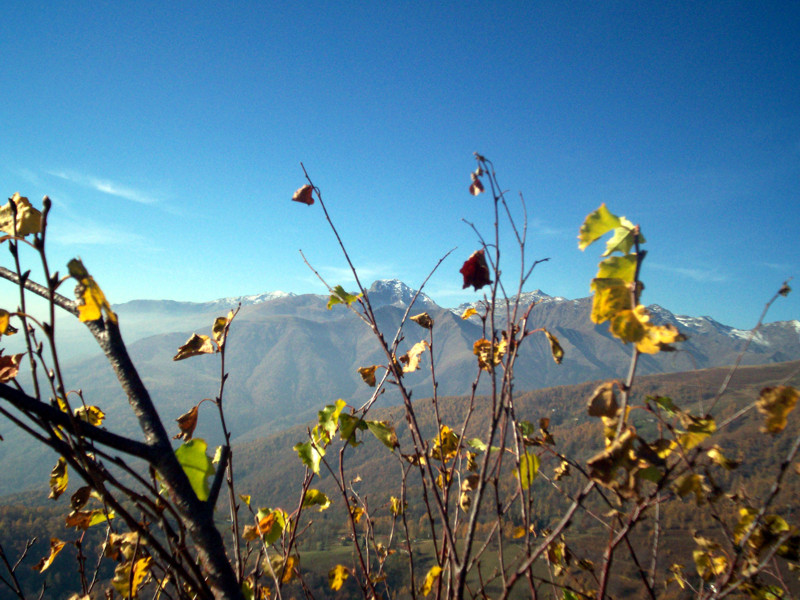Monte Terlo