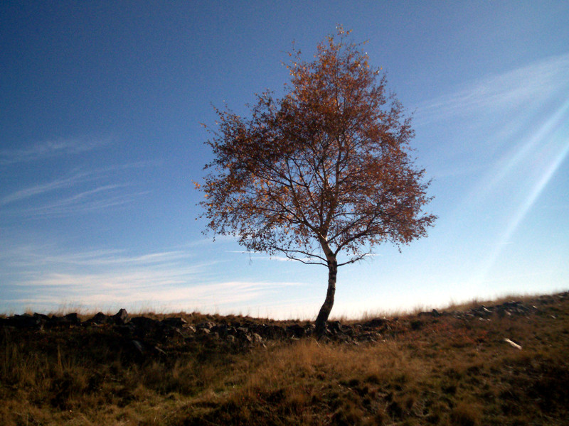 Monte Terlo