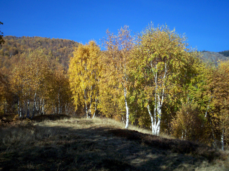 Monte Terlo