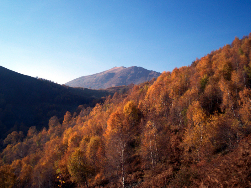 Monte Terlo