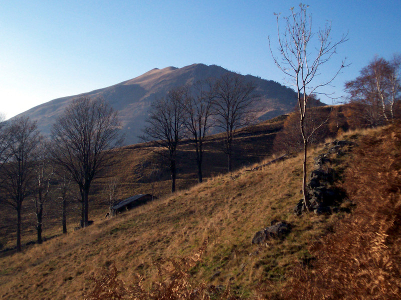 Monte Terlo