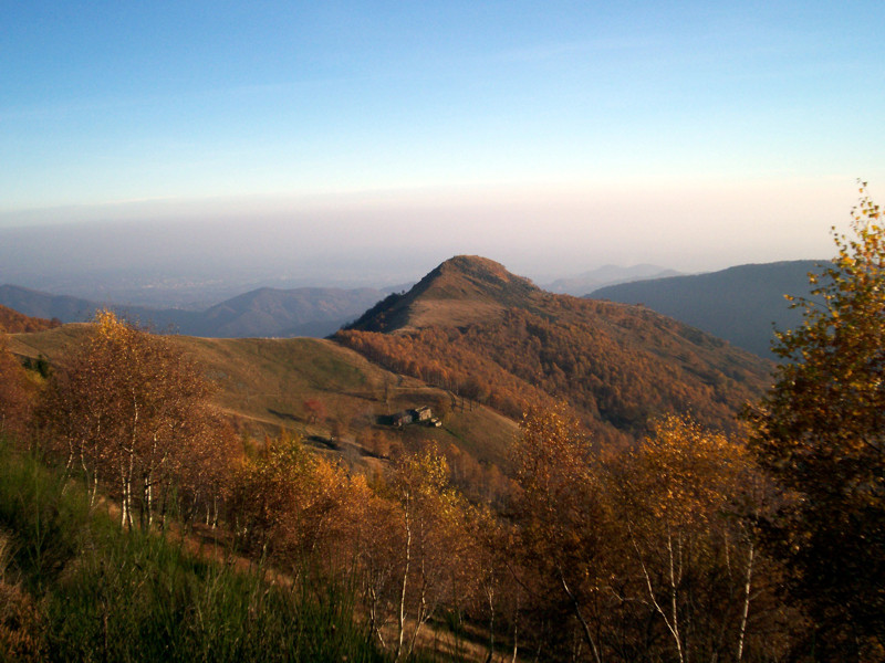 Monte Terlo