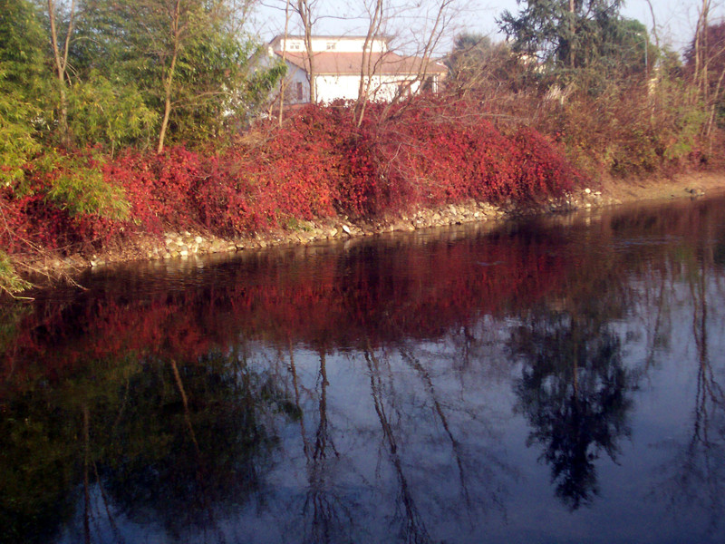 Il naviglio grande ed il Ticino a Cuggiono