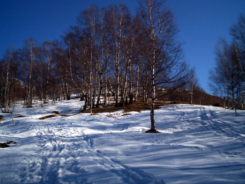 Monticchio - il mio primo giro con le ciaspole