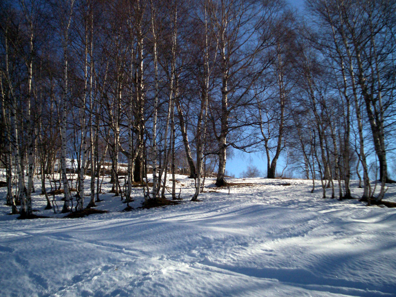 Monticchio - il mio primo giro con le ciaspole