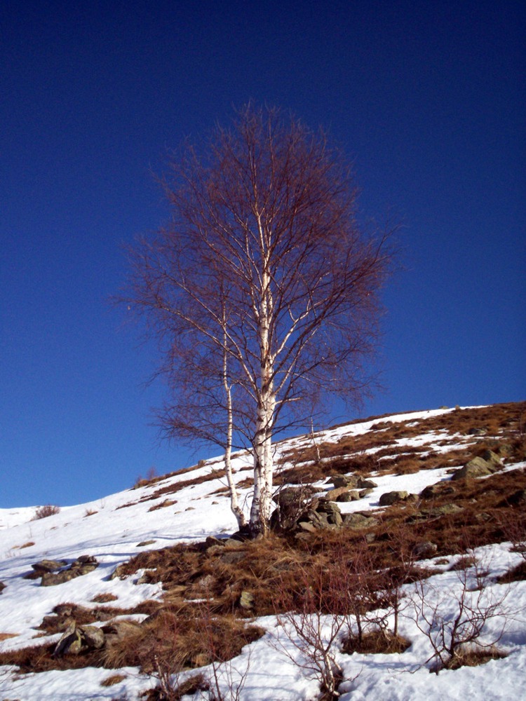 Monticchio - il mio primo giro con le ciaspole