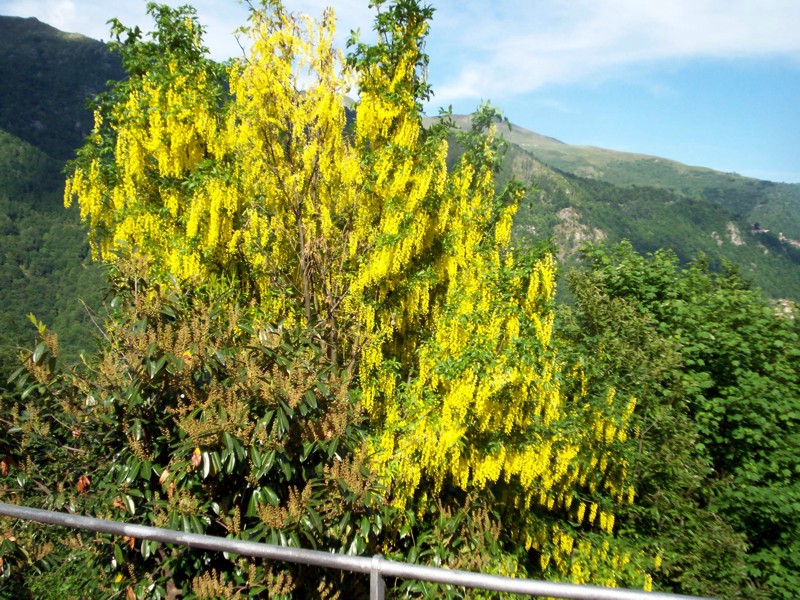 Bele - Valle del Cervo