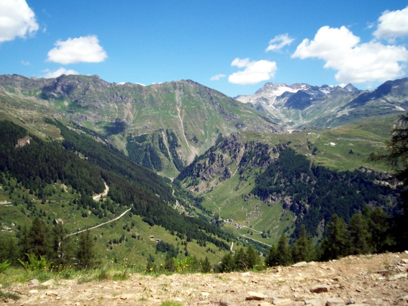 Val Febbraro