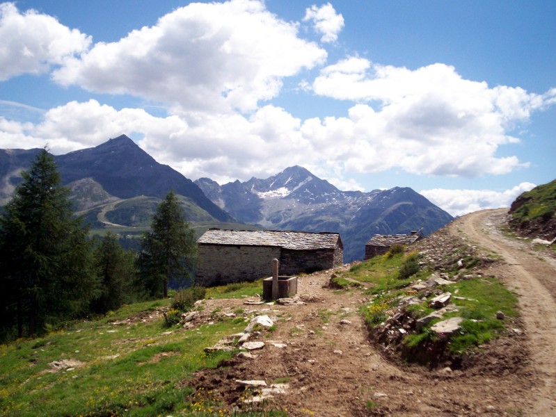 Val Febbraro
